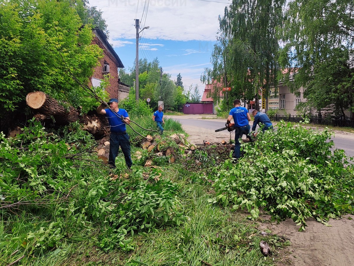 Пожарные Выксы поддержали акцию «Чистый берег»