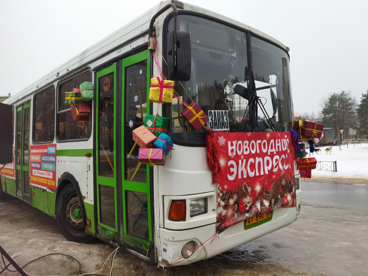 Новый год пришёл в каждый двор