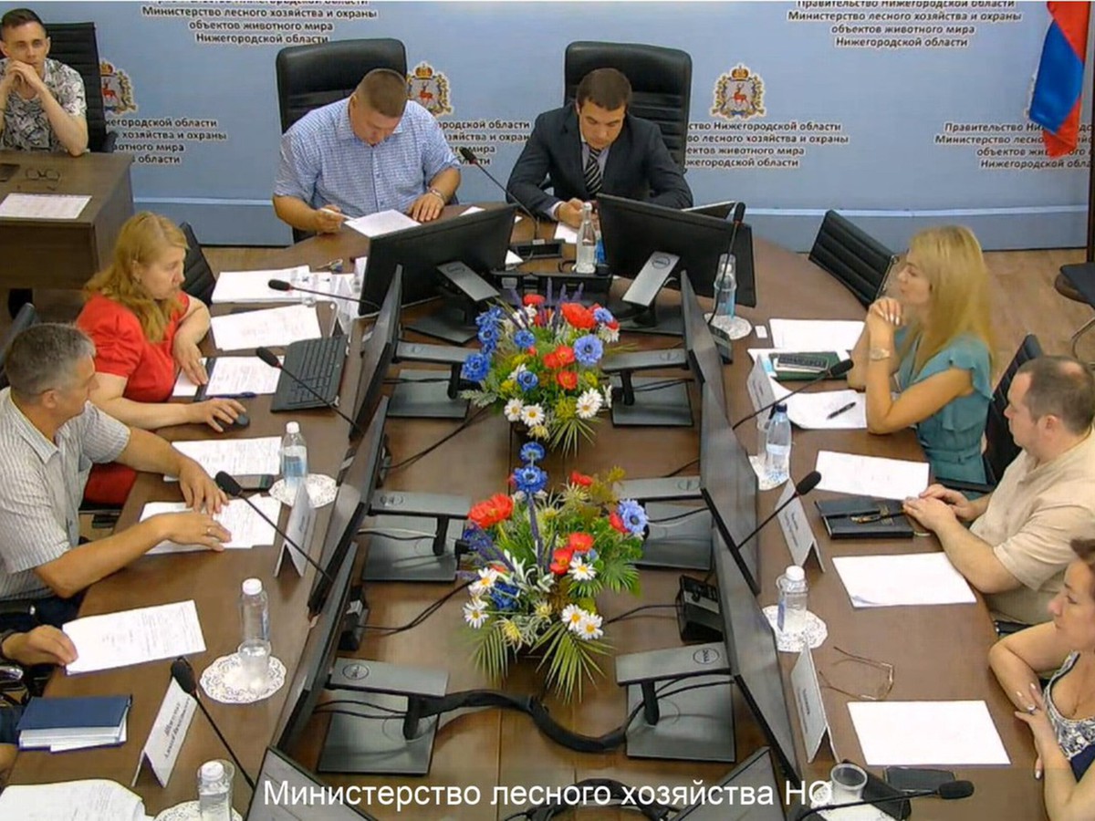 Жеребьёвка на получение разрешений на добычу копытных животных и медведя впервые прошла электронно